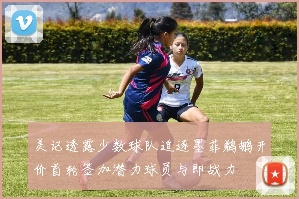 美记透露少数球队追逐墨菲鹈鹕开价首轮签加潜力球员与即战力
