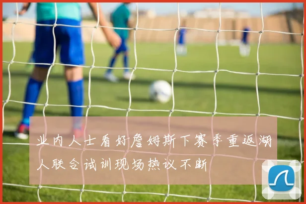 业内人士看好詹姆斯下赛季重返湖人联合试训现场热议不断